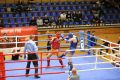 Zawodnicy z pięciu krajów walczyli u nas w Otwartym Pucharze Polski Muaythai